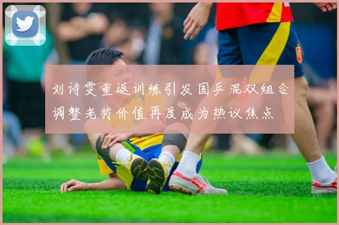 刘诗雯重返训练引发国乒混双组合调整老将价值再度成为热议焦点
