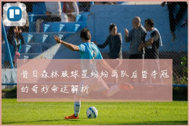 昔日森林狼球星纷纷离队后皆夺冠的奇妙命运解析