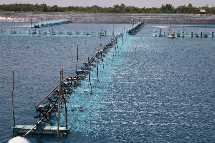 Aquaculture Water Quality Monitoring Technologies Market
