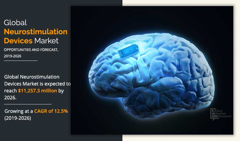 Neurostimulation Devices Market infographics