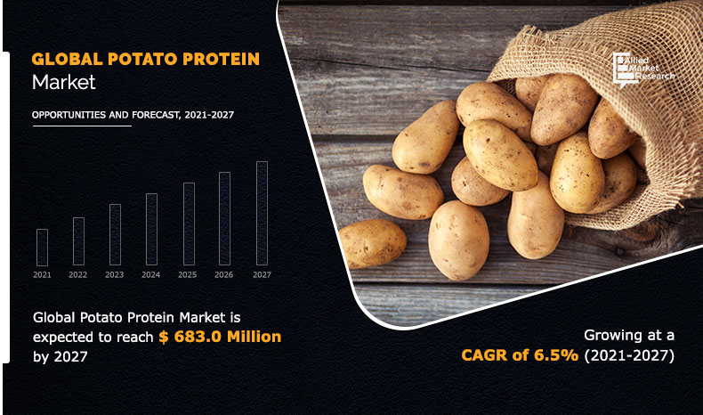 Potato Protein Market