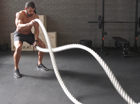Workout Ropes Market