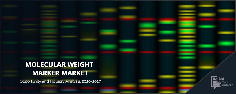 Molecular Weight Market-AMR