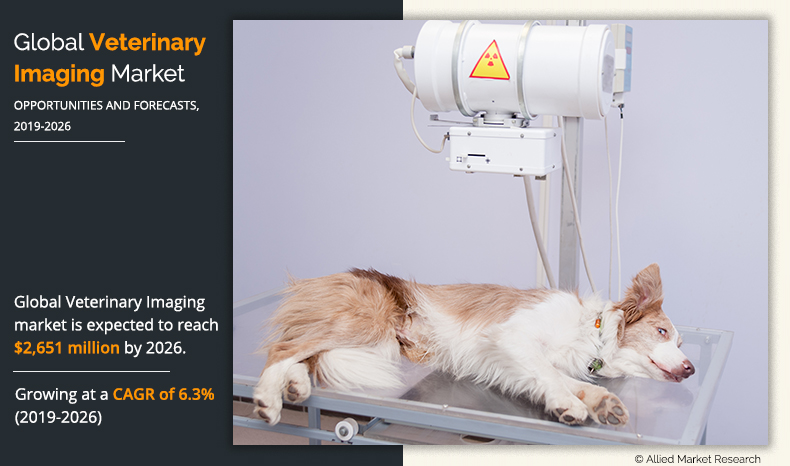 Veterinary Imaging Market- AMR