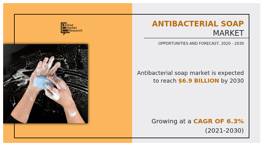 Antibacterial Soap Market