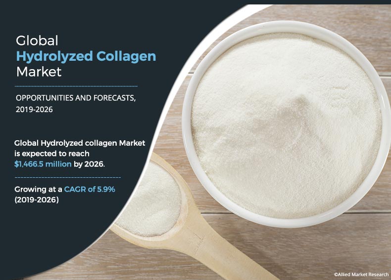 Hydrolyzed Collagen Market