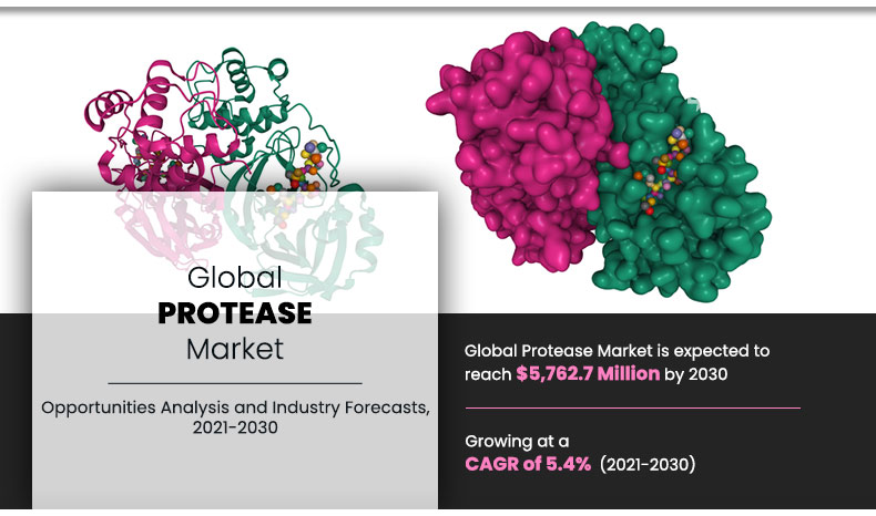 Protease Market
