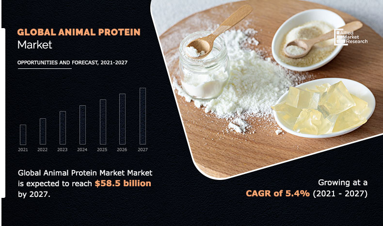 Animal Protein Market