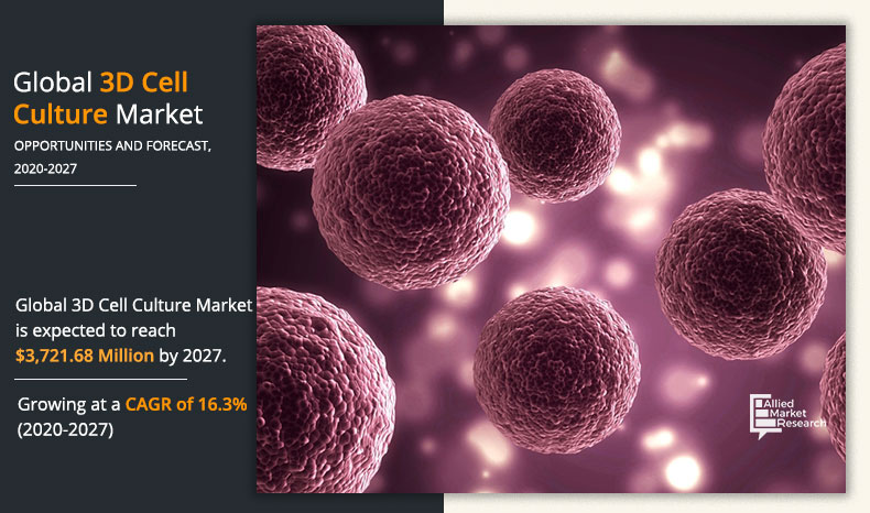 3D Cell Culture Market