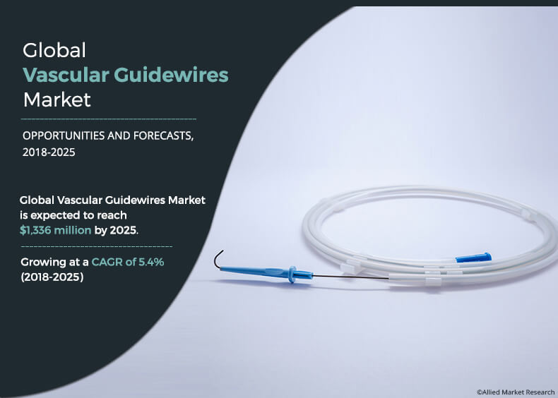 Vascular Guidewires Market