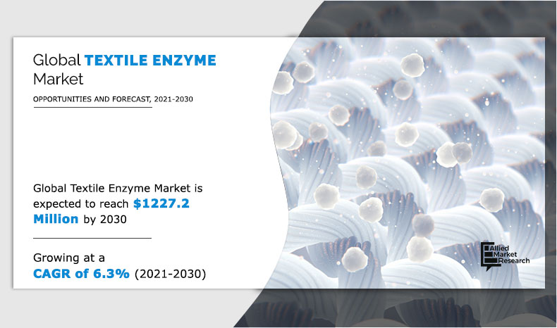 Textile Enzyme Market