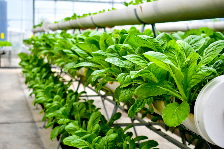 Aquaponics Farming Market