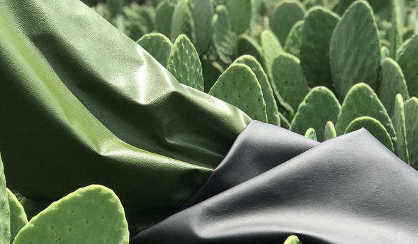 Vegan Cactus Leather Market
