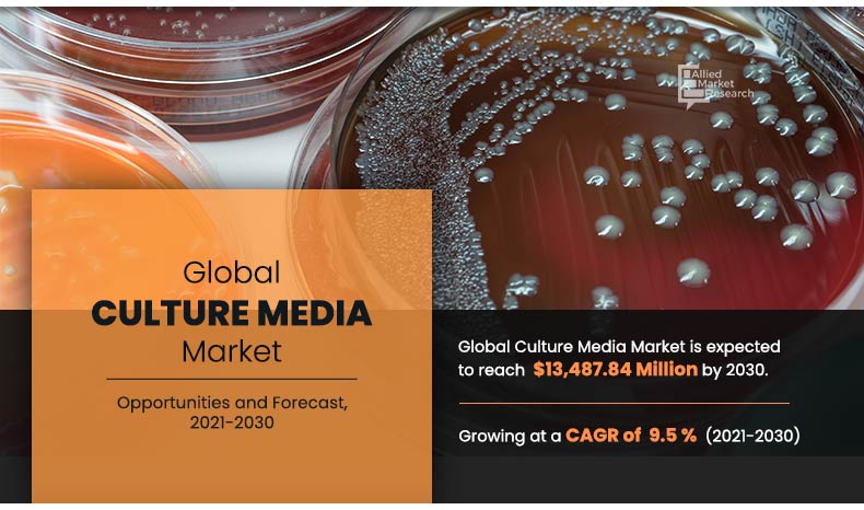 Culture Media Market