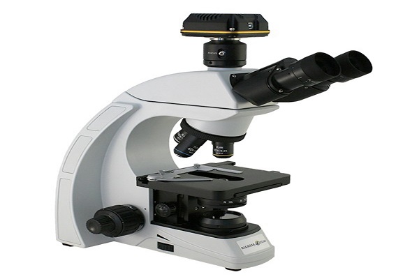 Clinical Trinocular Microscopes Market