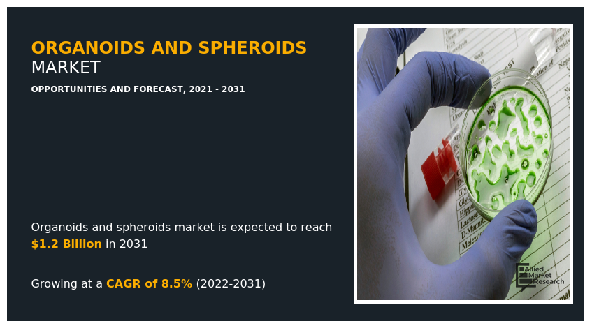 Organoids and Spheroids Market