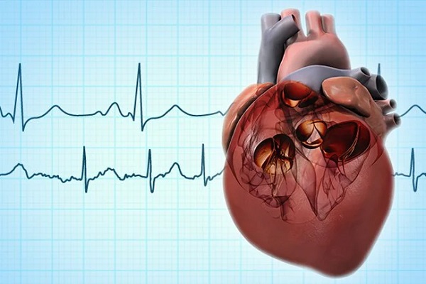 Atrial Fibrillation Surgery Market