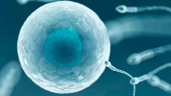 UK IVF Services Market Size