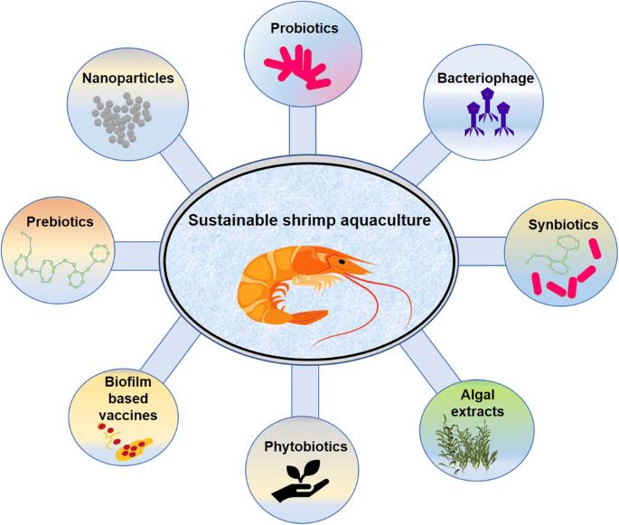 Shrimps Disease Diagnostics