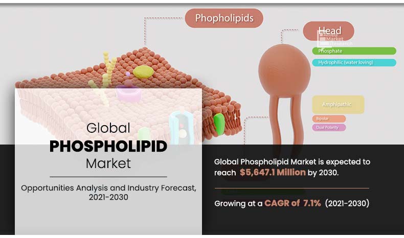 Phospholipid Market is Expected to Reach $5,647.1 Million by 2030