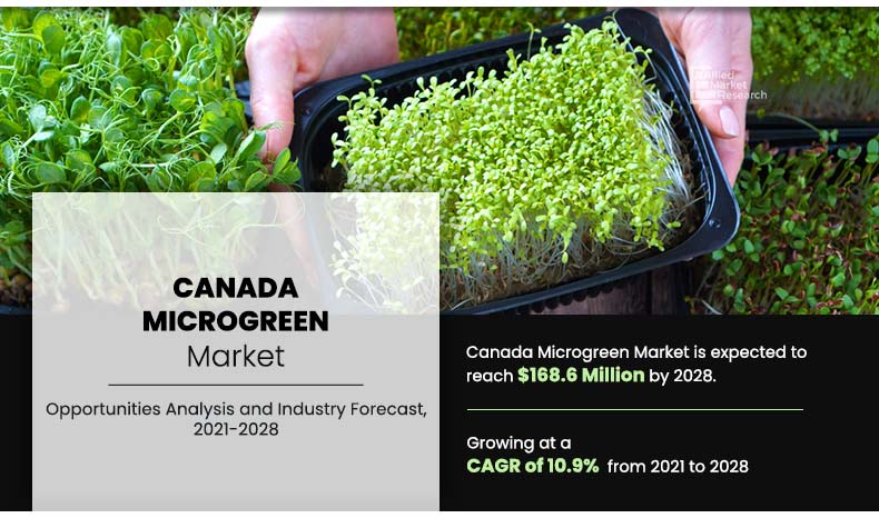Canada Microgreens Market Expected to Reach $168.6 Million by 2028-Allied Market Research