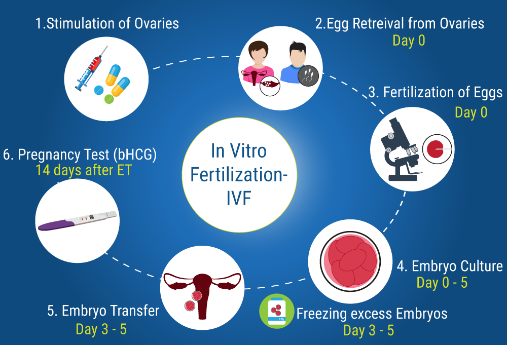 Europe In Vitro Fertilization (IVF) Market