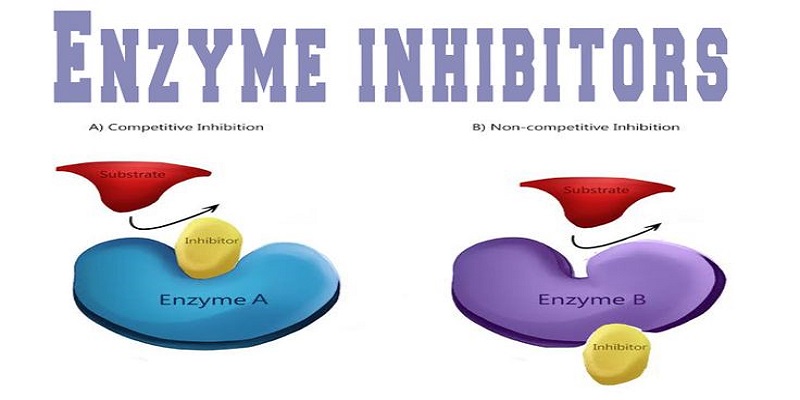 Enzyme Inhibitors Market